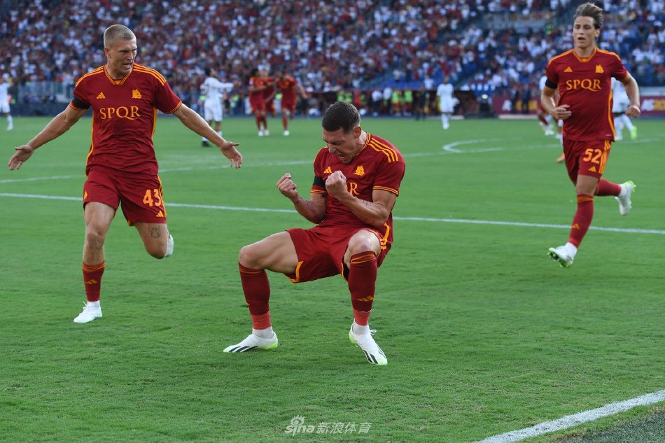 的足球观众 的足球观众