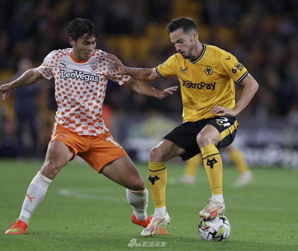 能力书写了 能力书写了